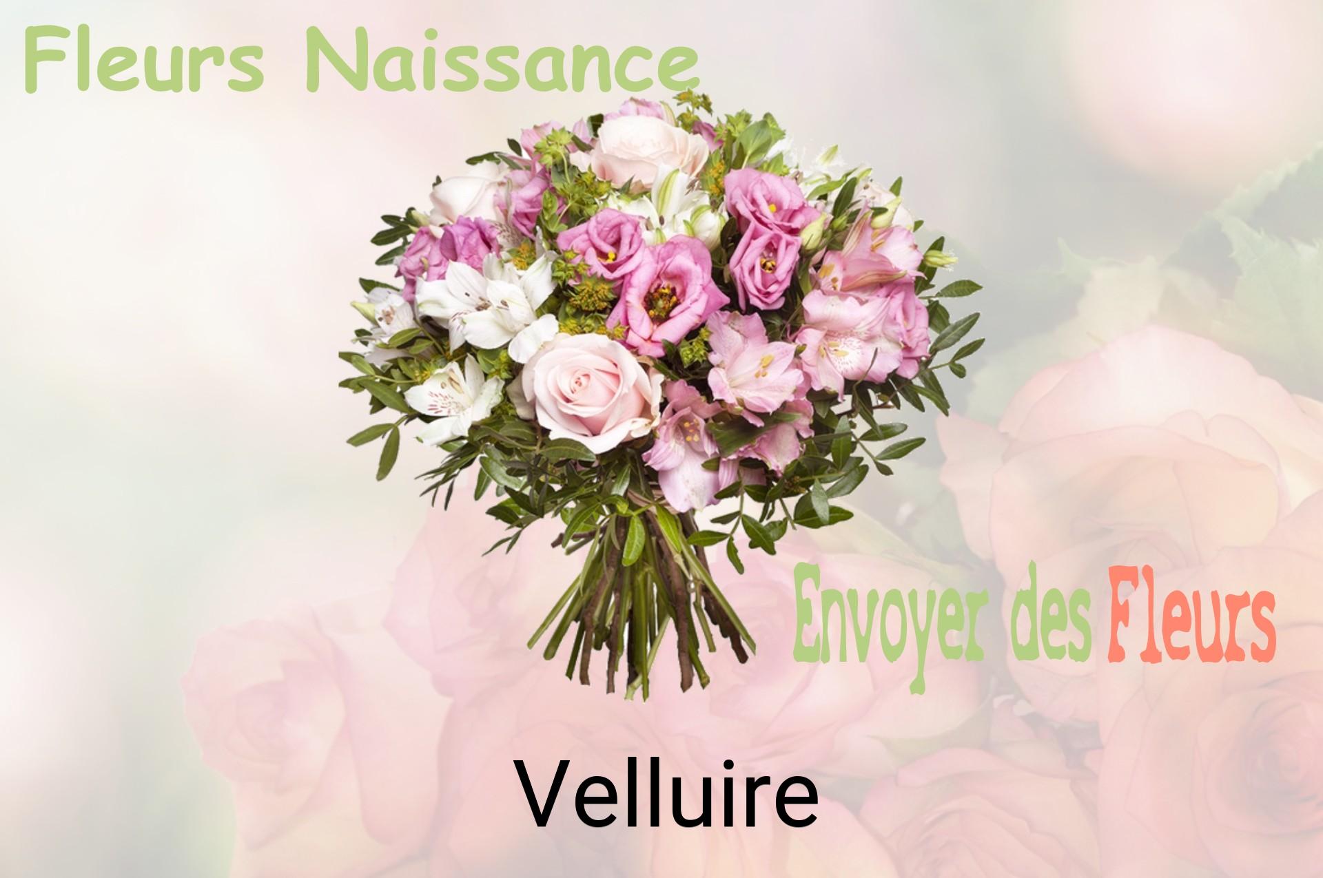 Bouquet de fleurs de naissance livré à Velluire
