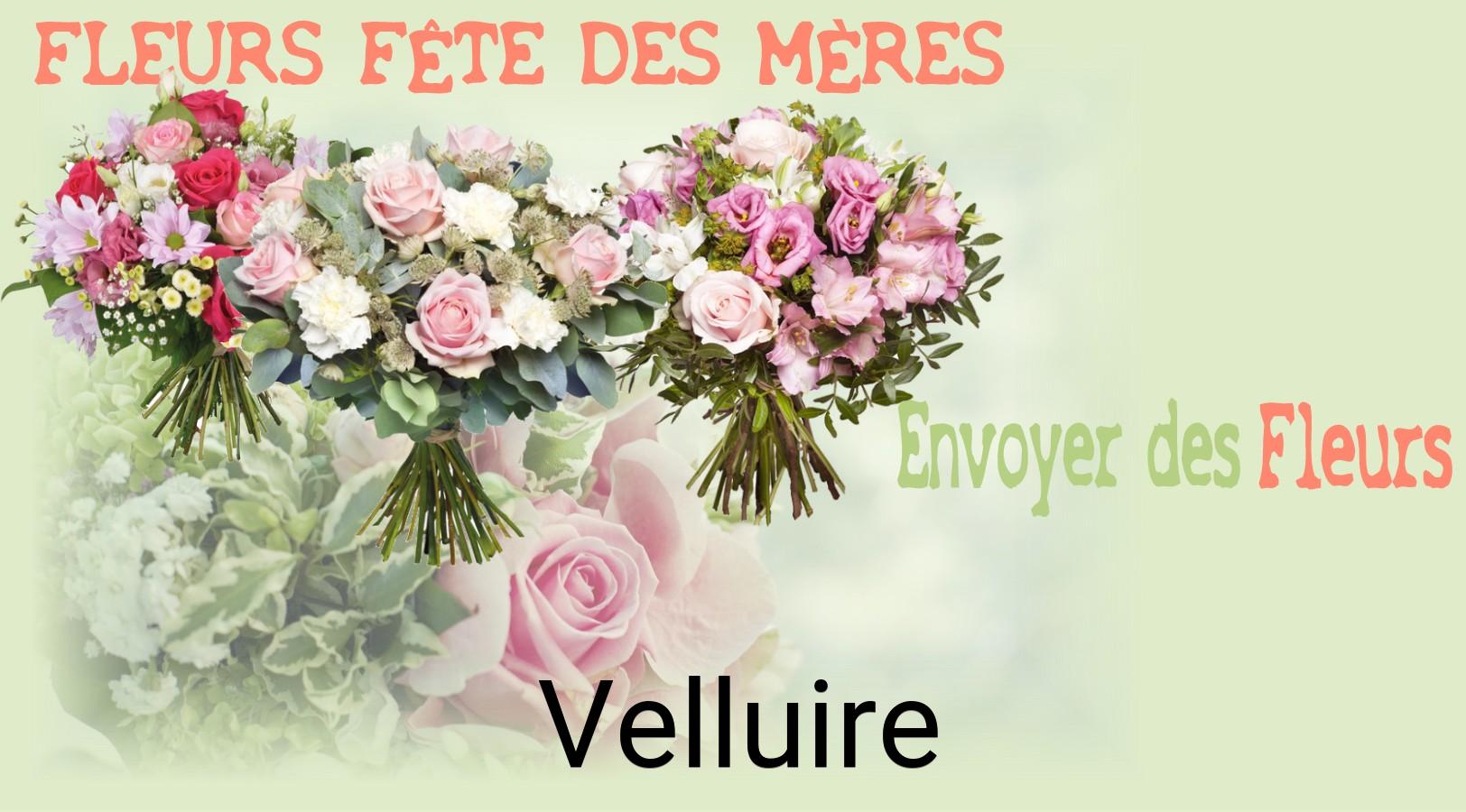 Bouquet de Fête des Mères livré à Velluire